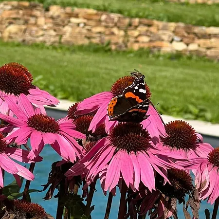 Le Jardin Secret Du Dr Papertian Holiday home