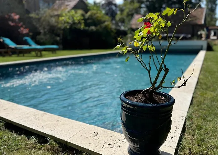 Le Jardin Secret Du Dr Papertian Saint-Clair-sur-l'Elle