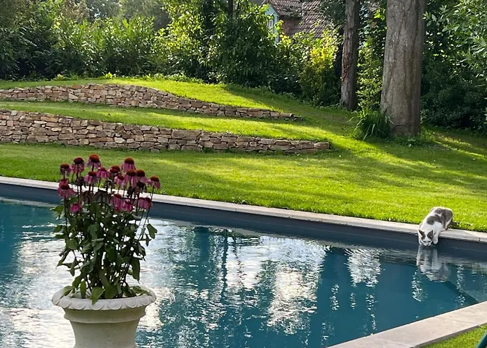 Le Jardin Secret Du Dr Papertian