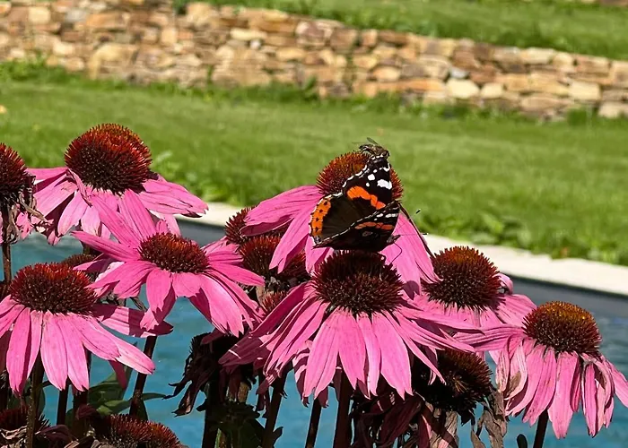 Le Jardin Secret Du Dr Papertian Holiday home